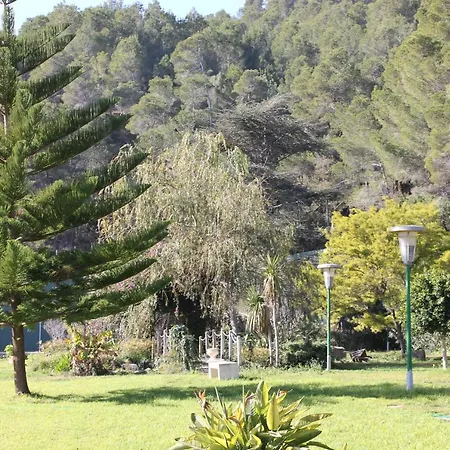 فيلة Montgrau